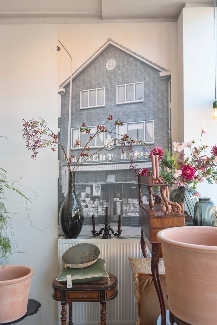 Foto 8 van Jan van Goyenstraat 2