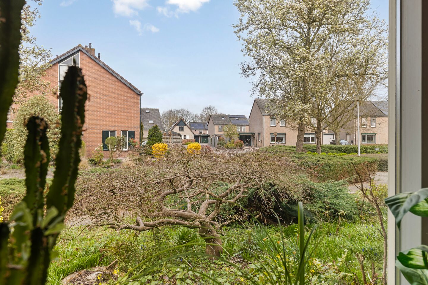 Foto 34 van 't Gotink 7