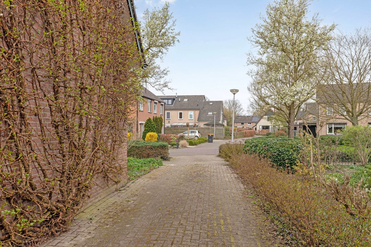 Foto 40 van 't Gotink 7