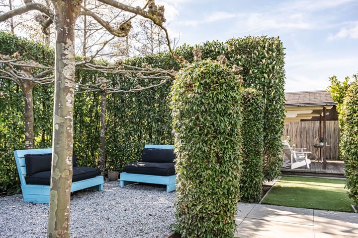 Foto 16 van Brouwersdam 42