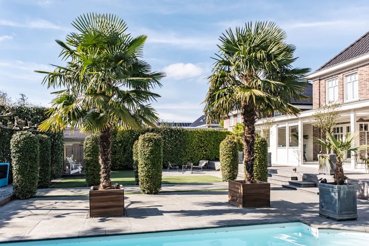 Foto 15 van Brouwersdam 42