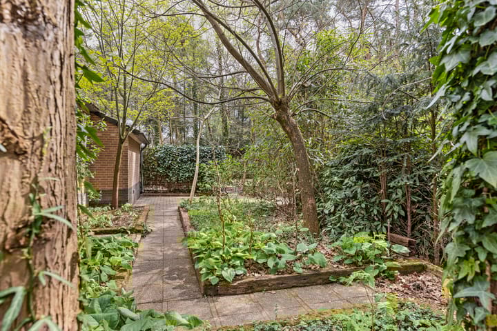 Photo 5 of Ruurloseweg 39-W74