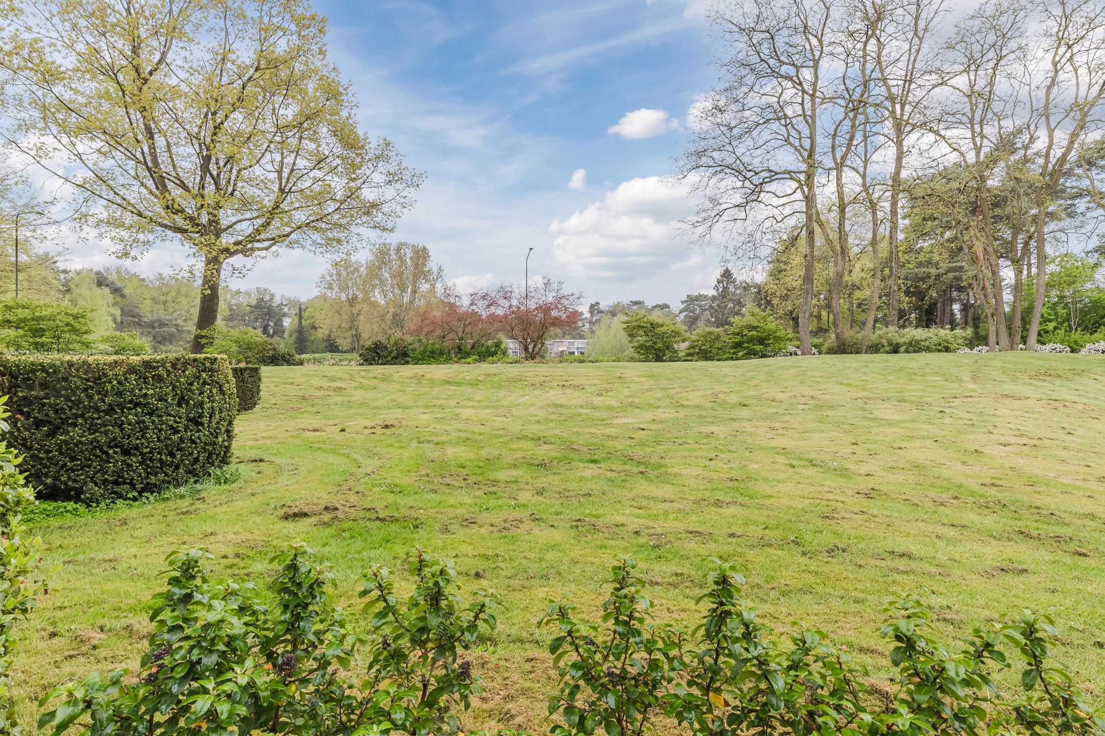 Photo 51 of Duinlaan 11