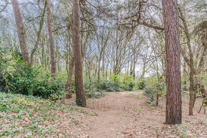 Foto 52 van Duinlaan 11