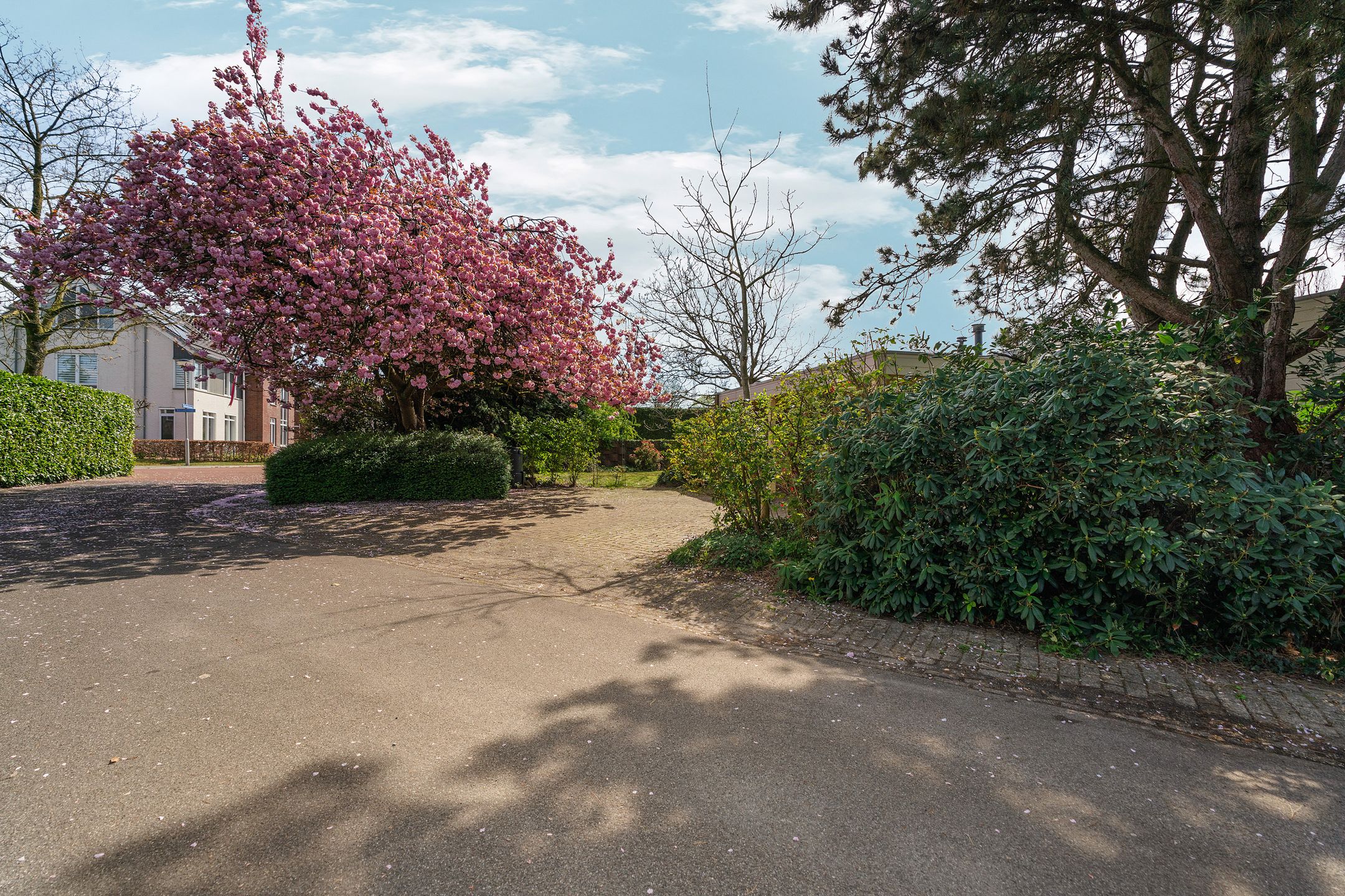 Foto 6 van Arend Lamerslaan 1