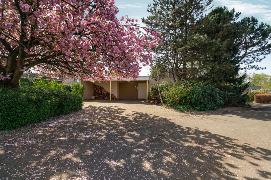 Foto 7 van Arend Lamerslaan 1