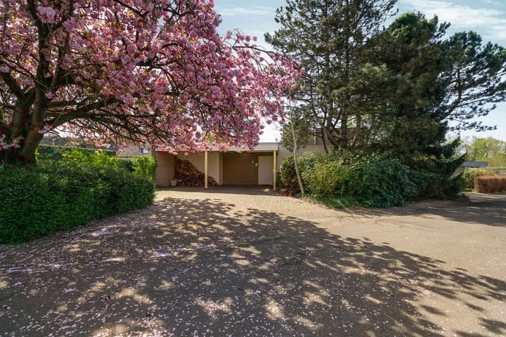 Photo 7 of Arend Lamerslaan 1