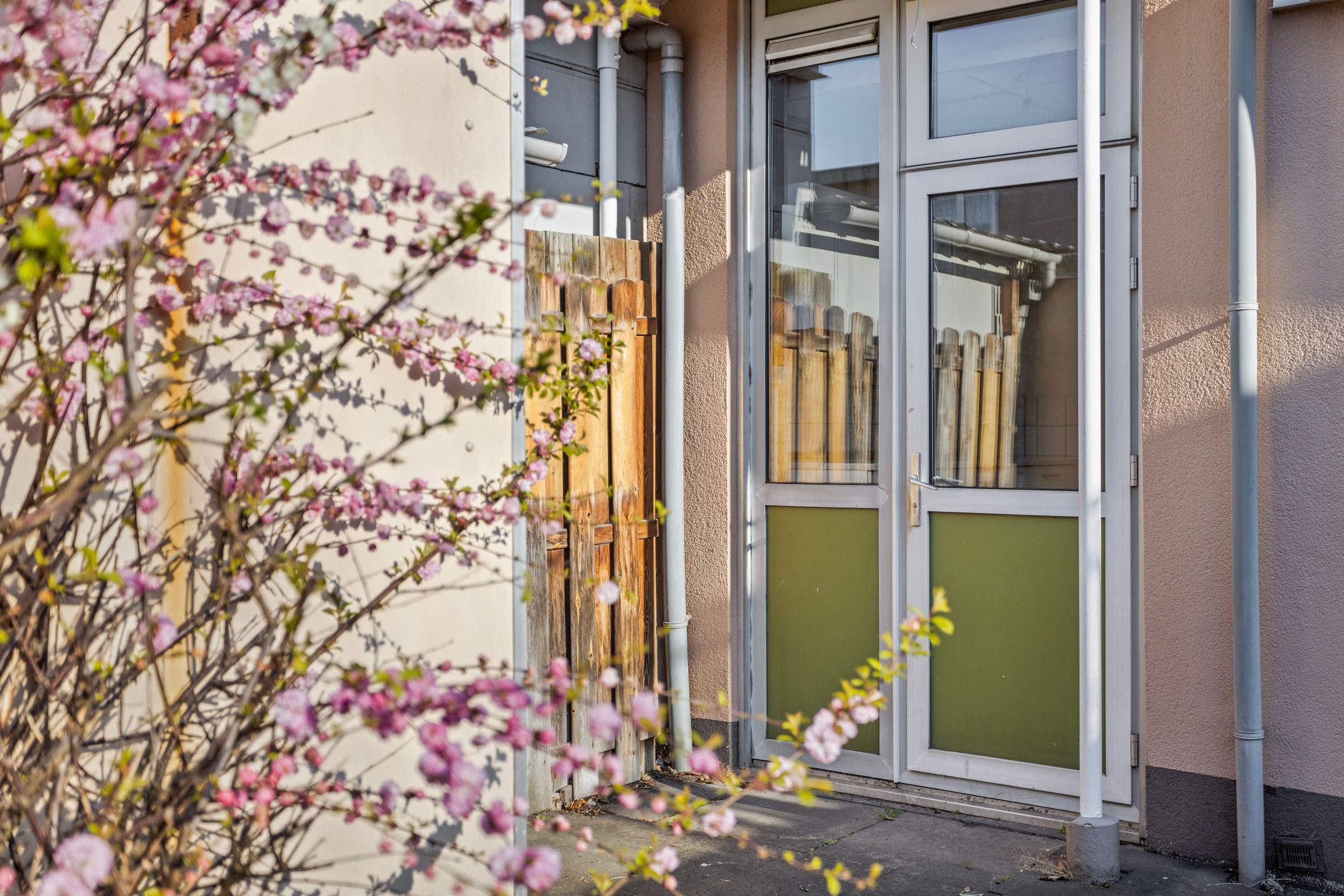 Foto 15 van Abrikozenstraat 12