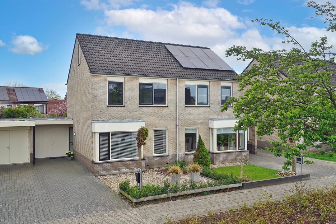 Foto 1 van Sleutelbloem 26