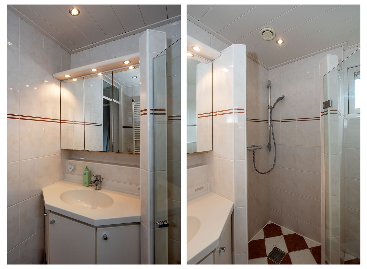 Foto 25 van Sleutelbloem 26