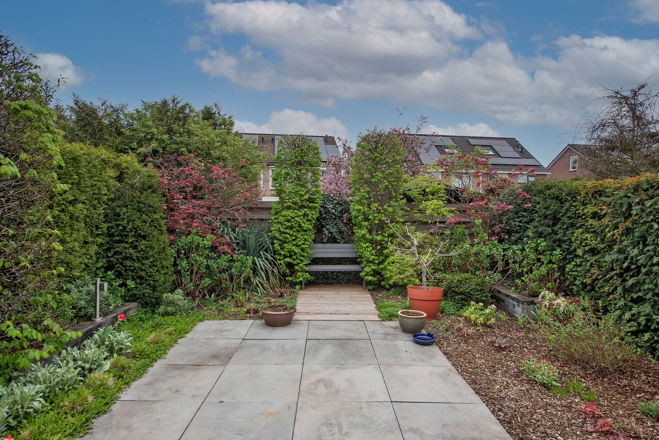 Foto 30 van Sleutelbloem 26