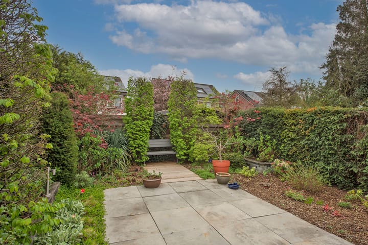 Foto 31 van Sleutelbloem 26