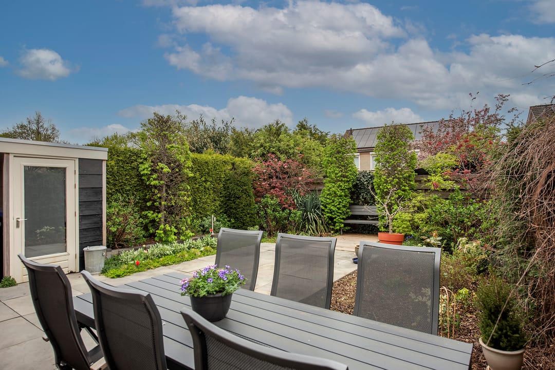 Foto 32 van Sleutelbloem 26