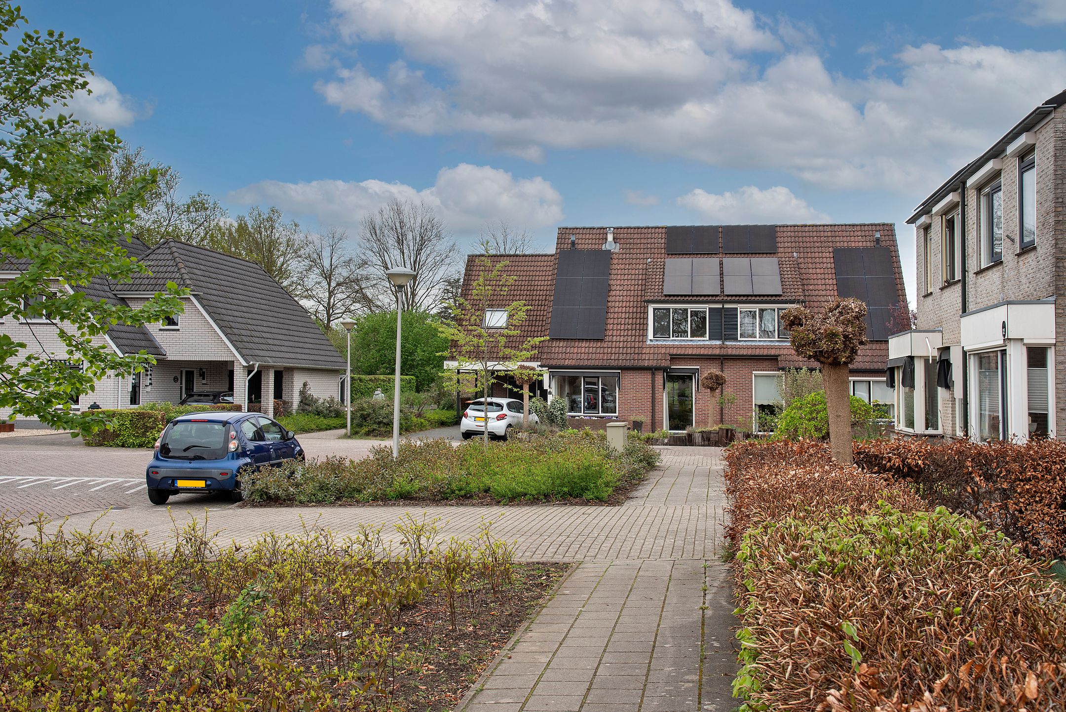 Foto 36 van Sleutelbloem 26