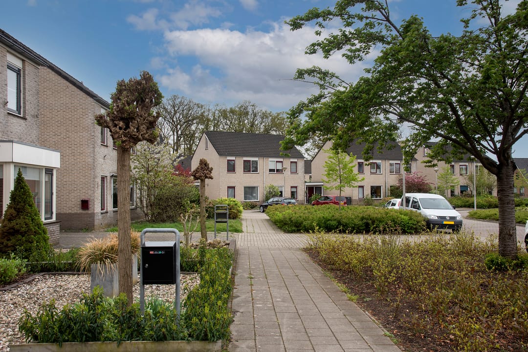 Foto 37 van Sleutelbloem 26