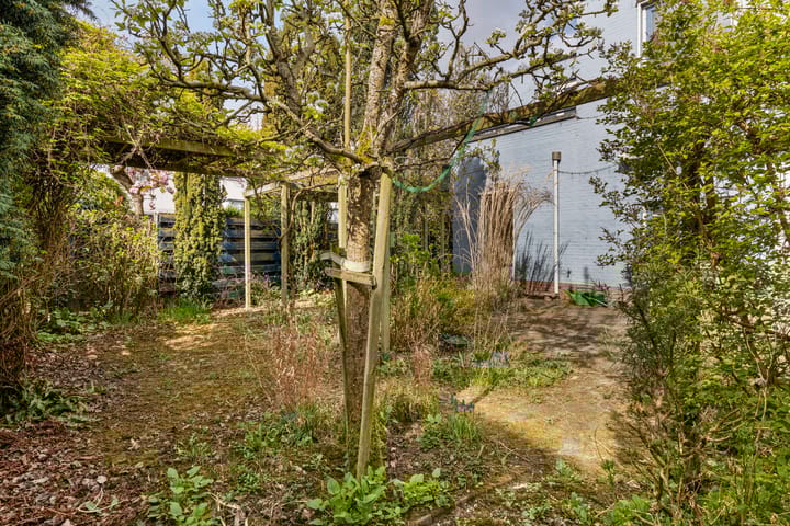 Foto 28 van Lilastraat 2