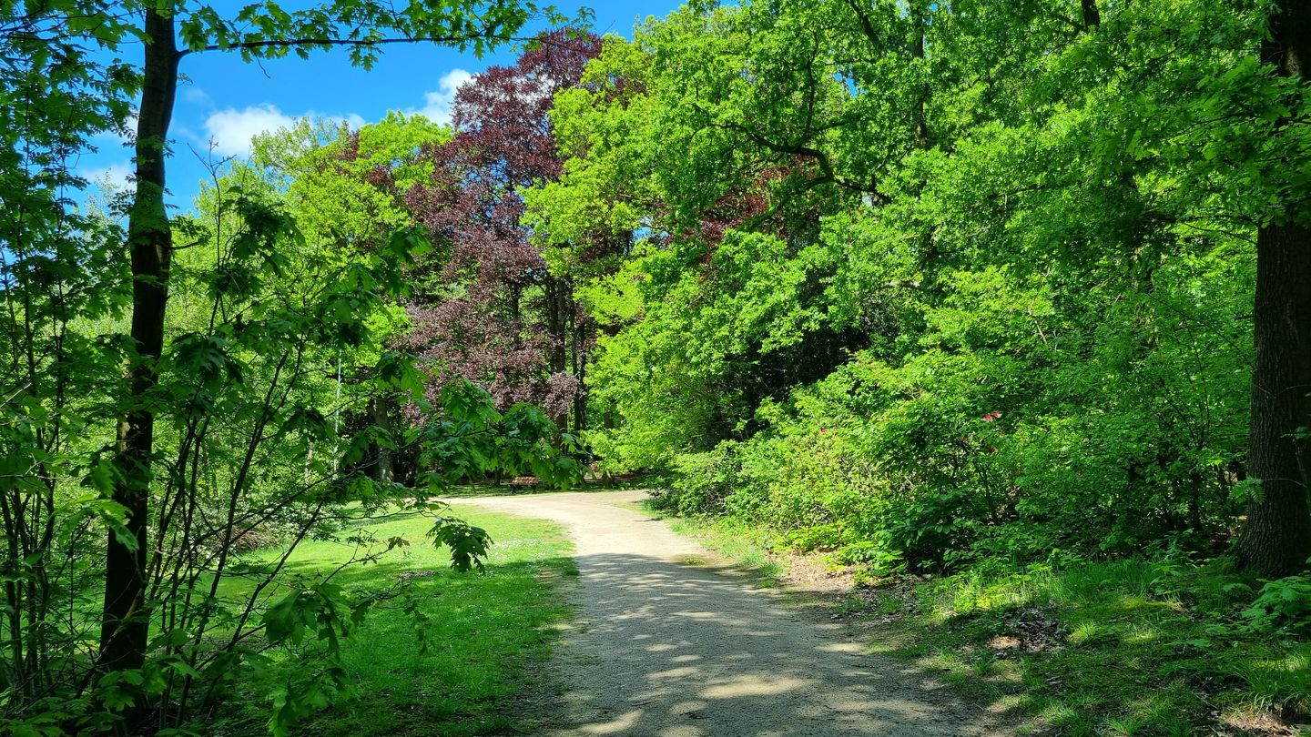 Photo 25 of Sofiastraat 7