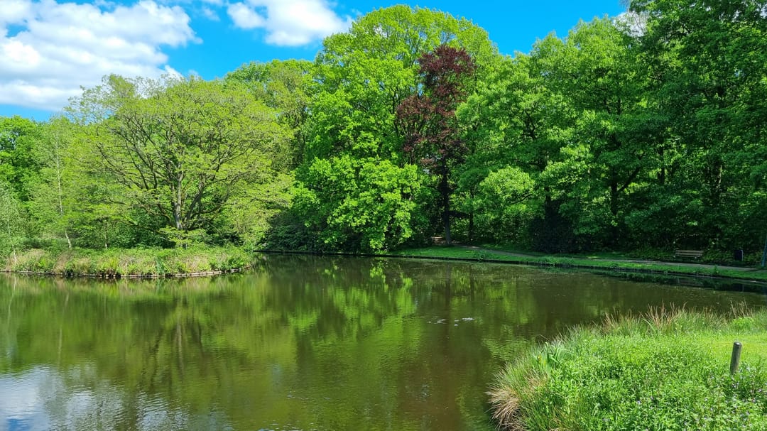 Photo 28 of Sofiastraat 7