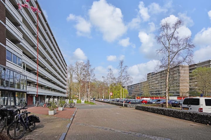 Foto 45 van Belvédèrebos 219