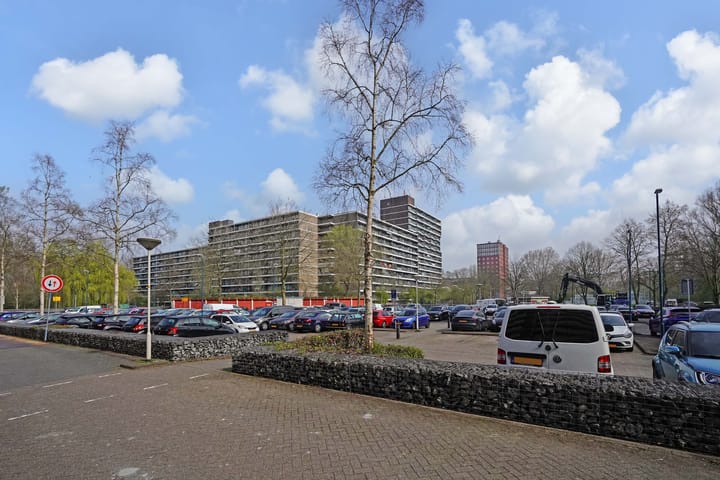 Foto 46 van Belvédèrebos 219