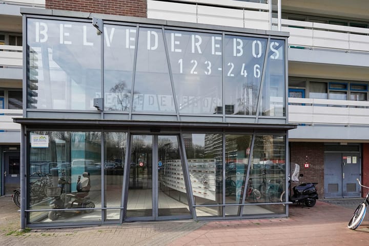 Foto 4 van Belvédèrebos 219