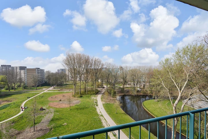 Foto 43 van Belvédèrebos 219