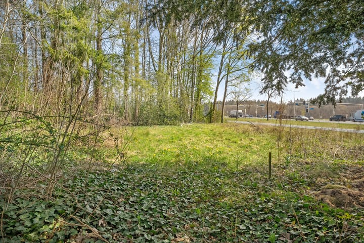 Foto 50 van Hessenweg 79