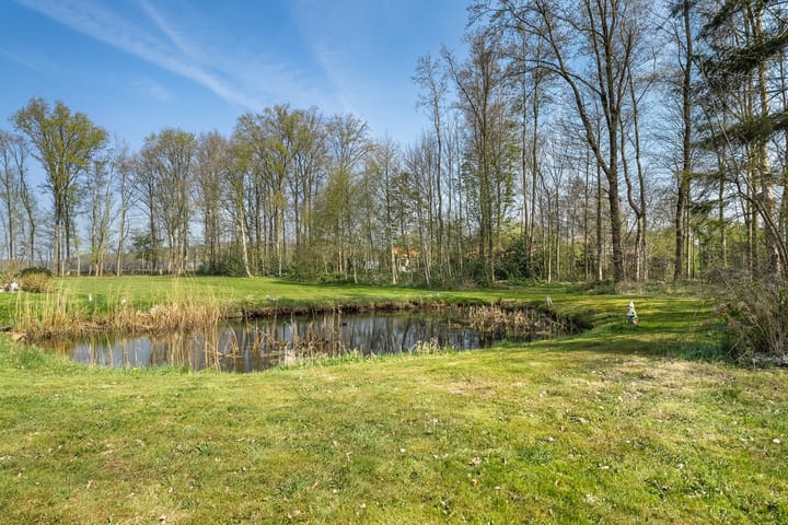 Foto 49 van Hessenweg 79