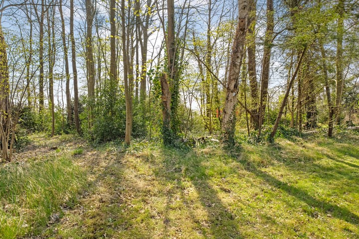 Foto 52 van Hessenweg 79