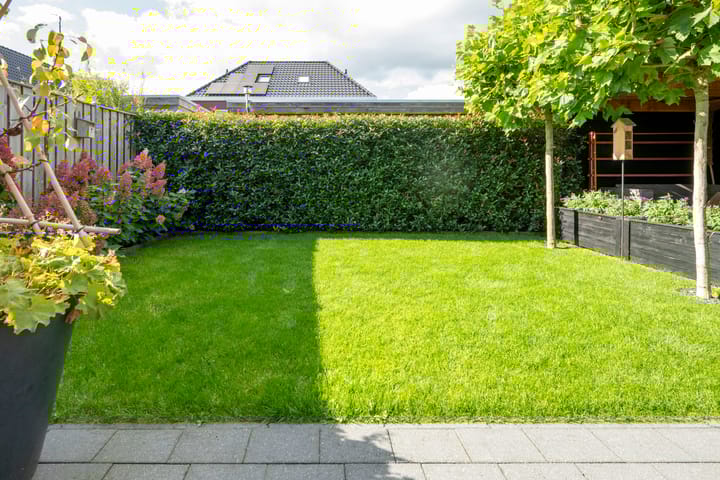 Foto 29 van Zende 44