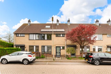 undefined main image