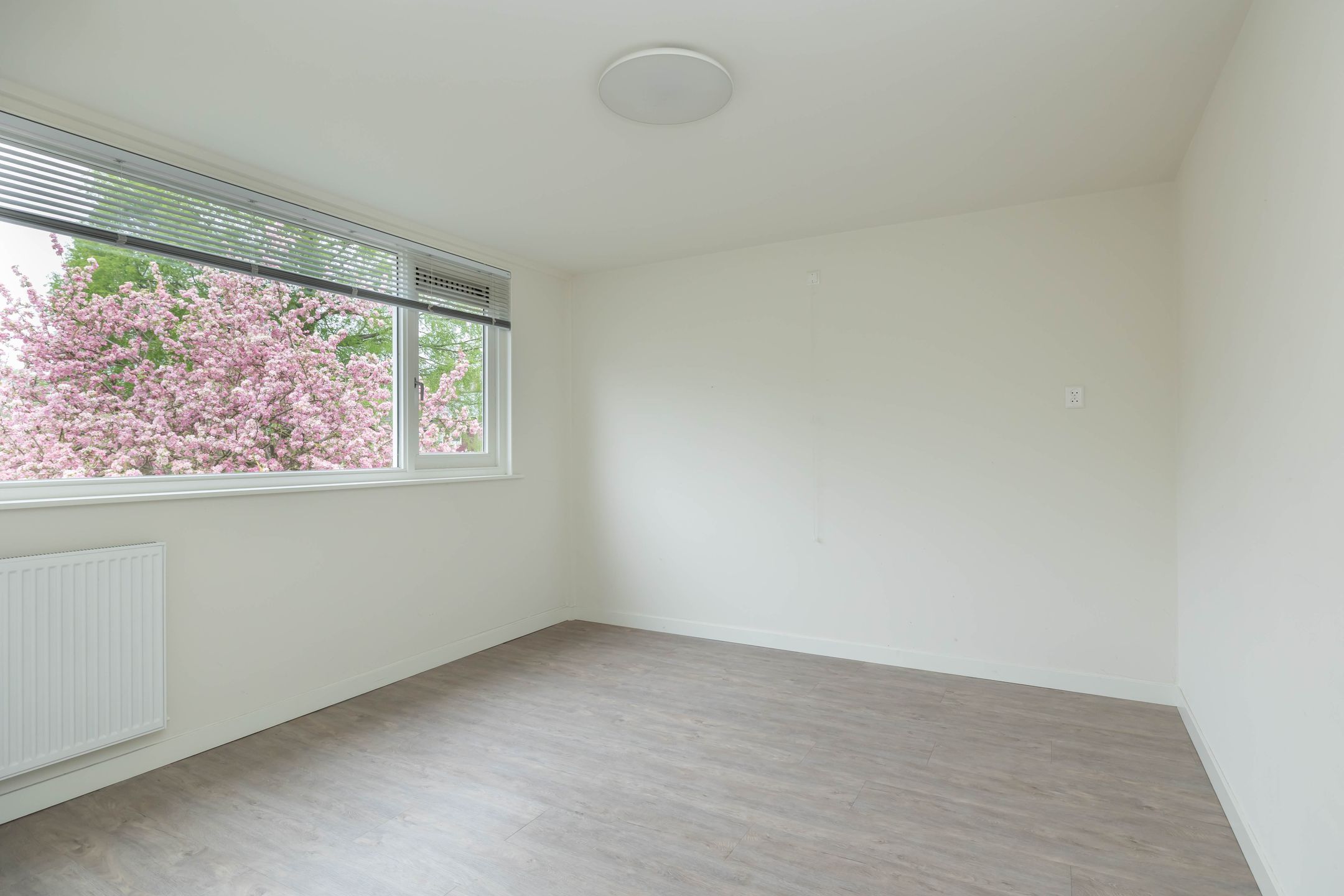 Foto 21 van Vosseveen 20