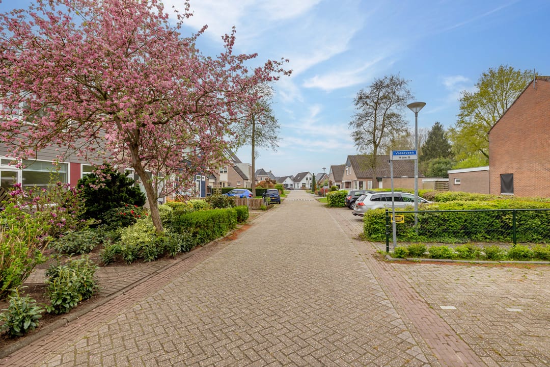 Foto 56 van Vosseveen 20