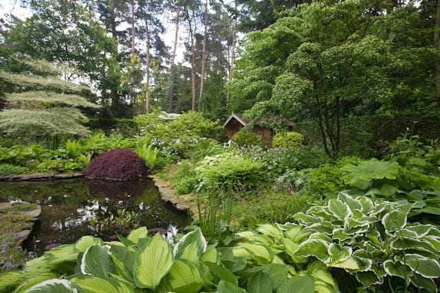 Foto 3 van Gravin van Burenlaan 4