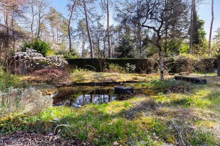 Foto 31 van Gravin van Burenlaan 4