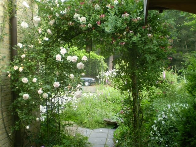 Foto 42 van Gravin van Burenlaan 4