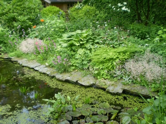 Photo 43 of Gravin van Burenlaan 4