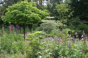 Foto 45 van Gravin van Burenlaan 4