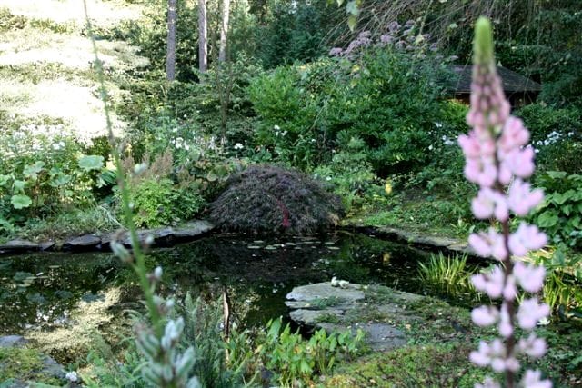 Foto 46 van Gravin van Burenlaan 4