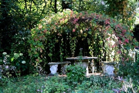 Foto 47 van Gravin van Burenlaan 4