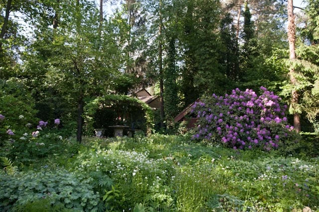 Foto 48 van Gravin van Burenlaan 4