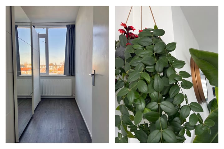 Foto 8 van Maasstraat 36