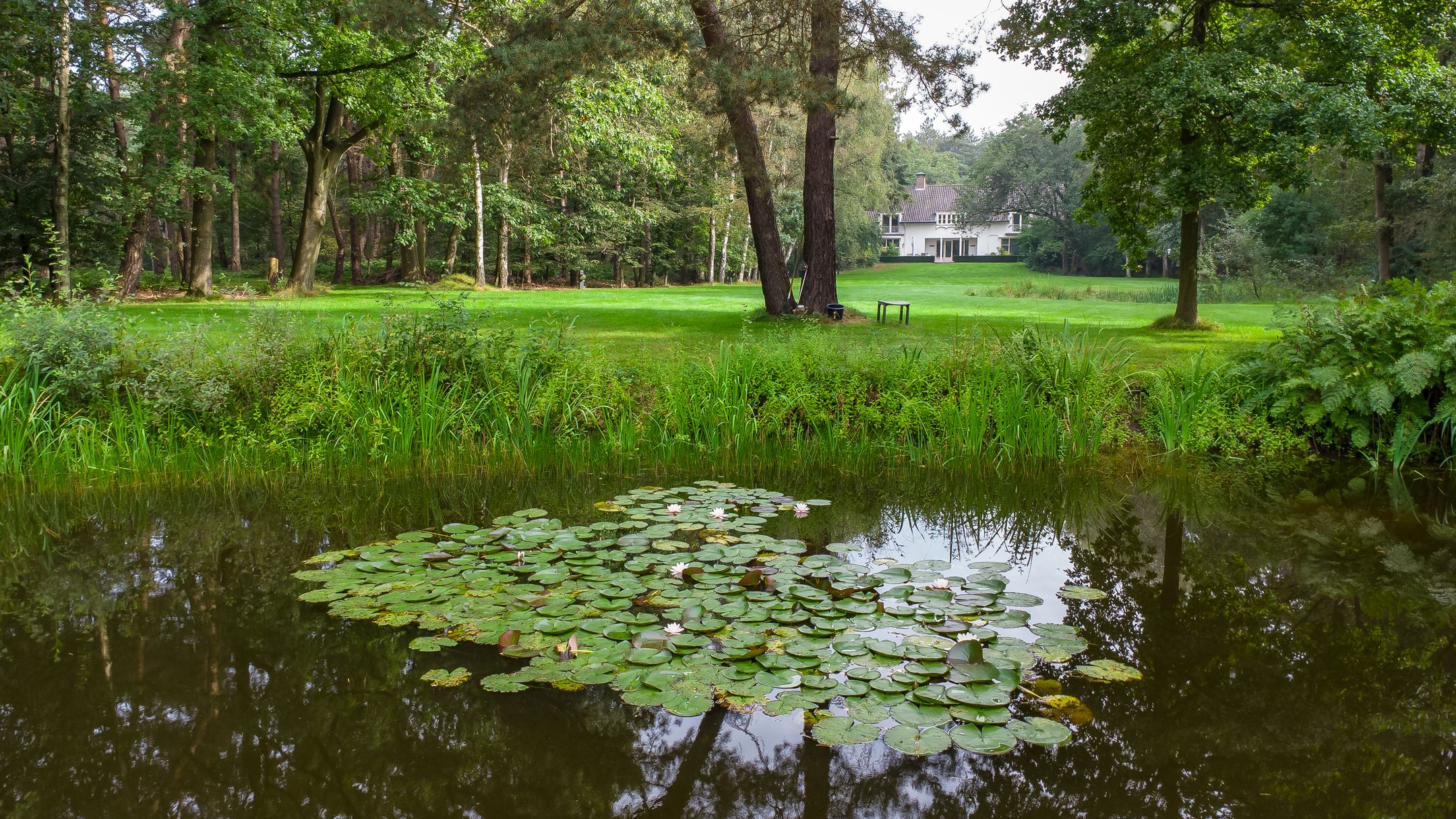 Photo 9 of Tilburgseweg 73