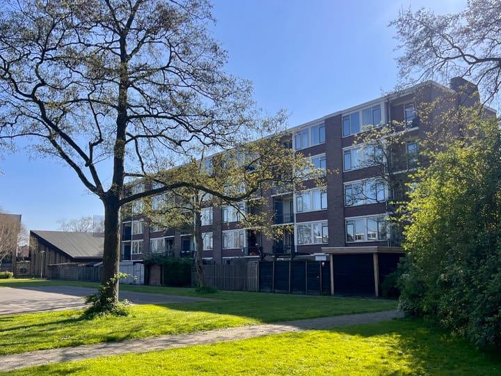 Foto 17 van Maasstraat 36