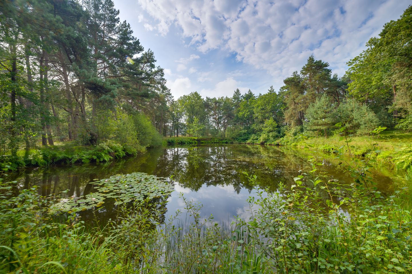 Photo 79 of Tilburgseweg 73