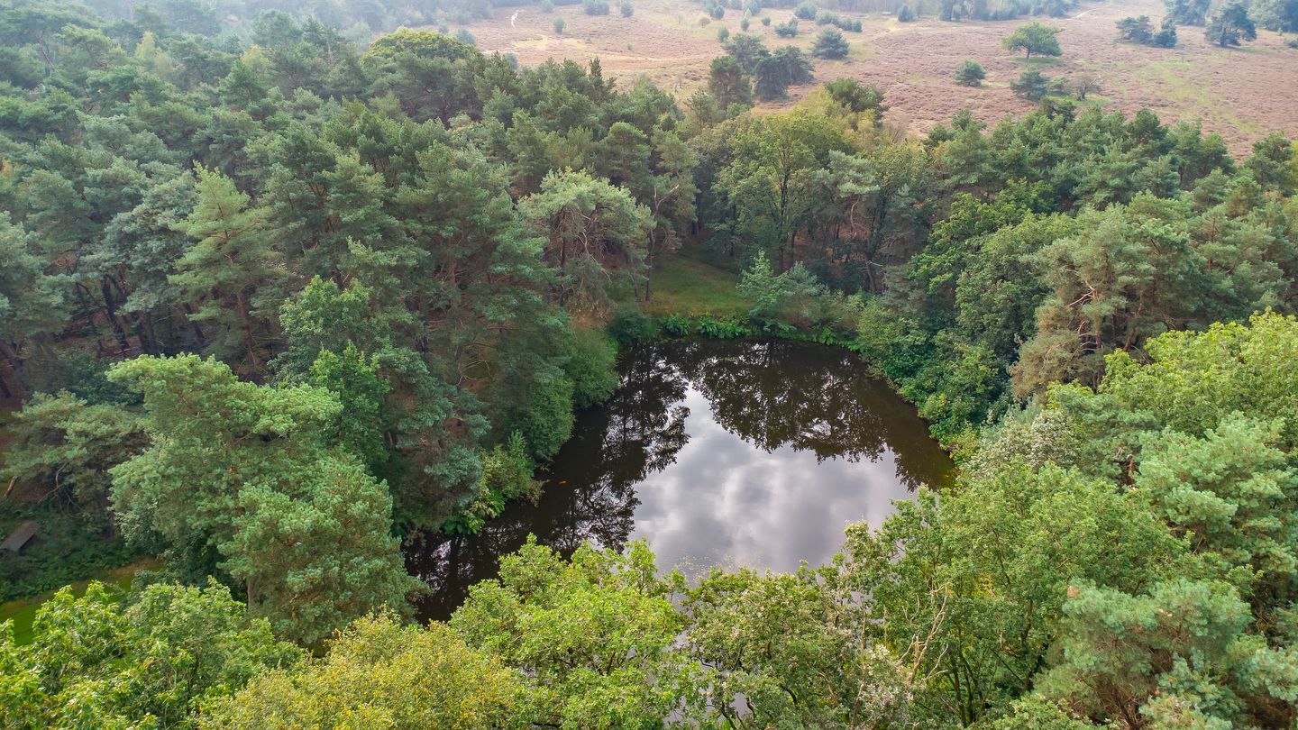 Photo 94 of Tilburgseweg 73