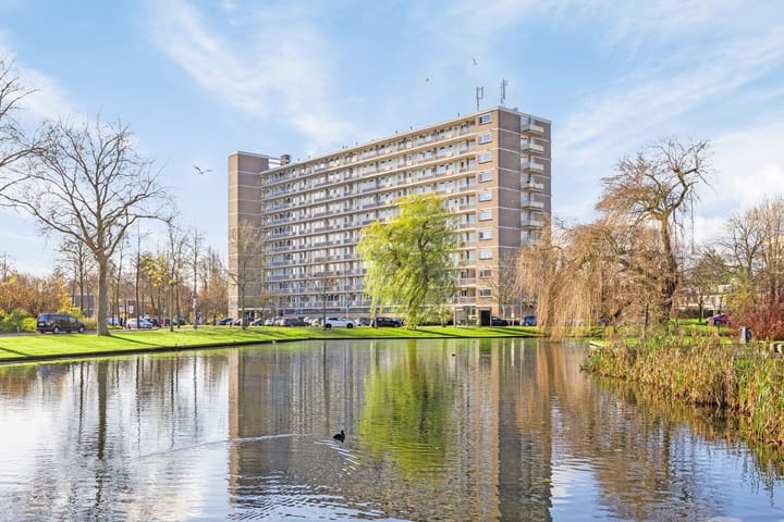 Dumasstraat 35