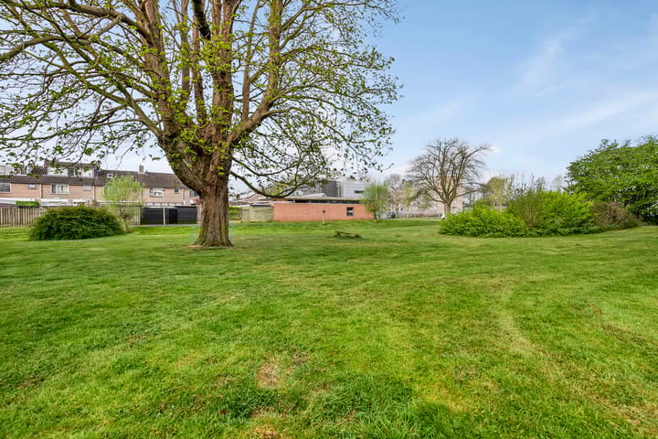 Foto 37 van Graaf Willemlaan 48