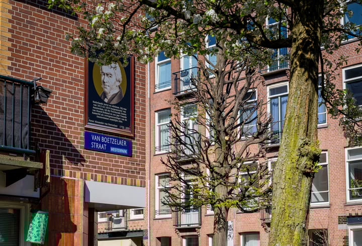 Foto 31 van Van Boetzelaerstraat 36-2