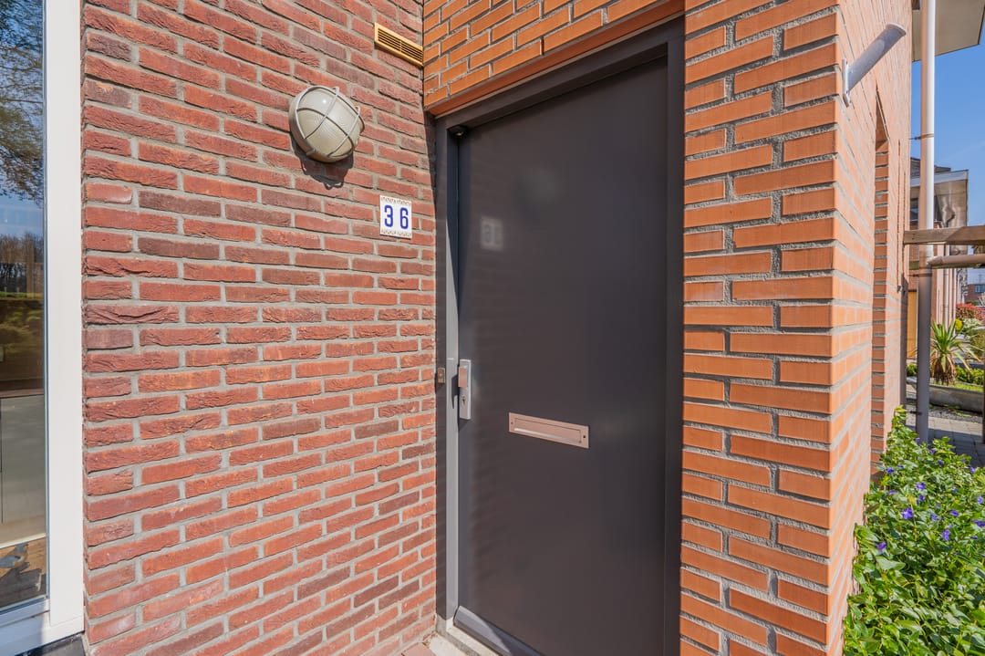 Foto 11 van Virgo 36